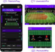 国际星际争霸II全球锦标赛冠军争夺