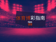 美洲杯足球赛阿根廷对巴西巅峰战