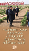 习语丨从小黄花到小龙虾，总书记为何关注这些“小产品”？